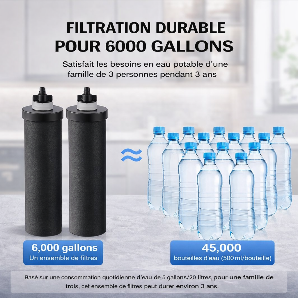 Filtre à eau gravitationnel en inox