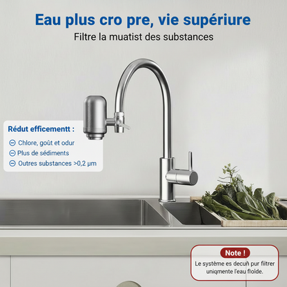 Filtre à eau pour robinet en inox